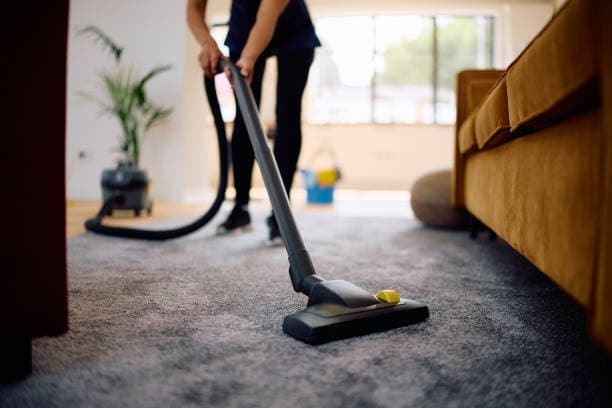Professional Cleaning Services